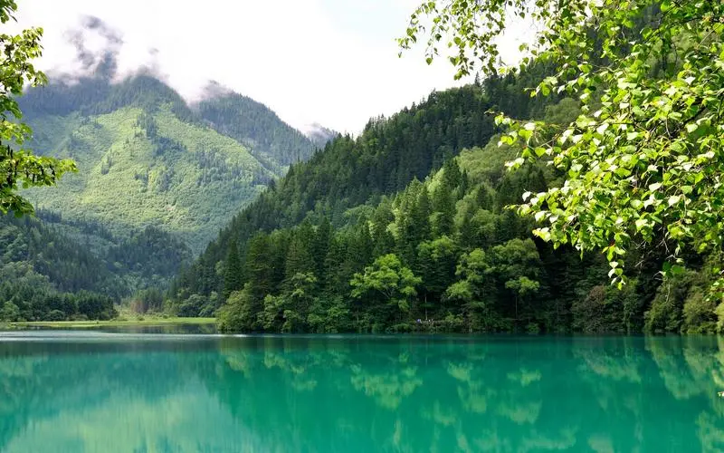 数字化智能系统科技
